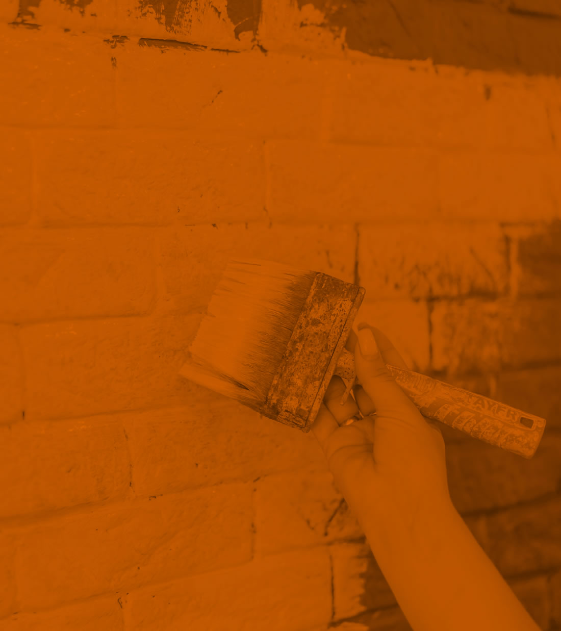Damp Proofing & Timber Treatments